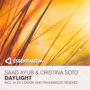 Daylight (Frainbreeze Remix)
