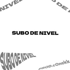 SUBO DE NIVEL