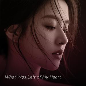 Pieces I Can’t Hold