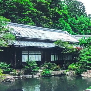 竹椅的夏