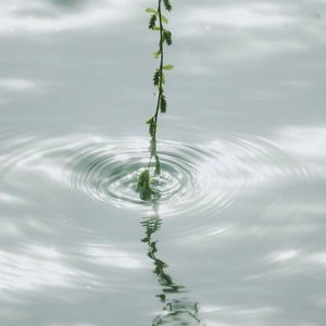 共鸣