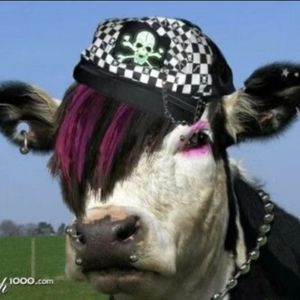 【free beat 】热塑 hyperpop beat