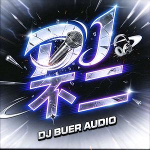 颜人中 - 晚安(DJ不二 FunkyHouse Rmx 2026) 空灵鼓