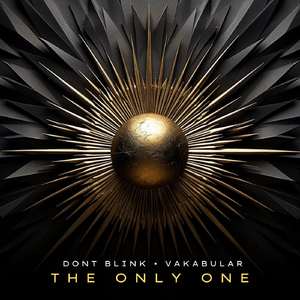 THE ONLY ONE (Extended Mix)