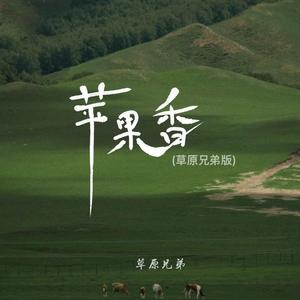 苹果香 (草原兄弟版)