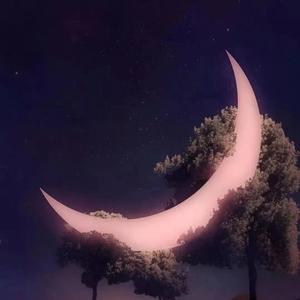 Tomydear（prod.Furyl,4 c_Chords)