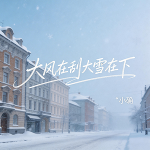 大风在刮大雪在下