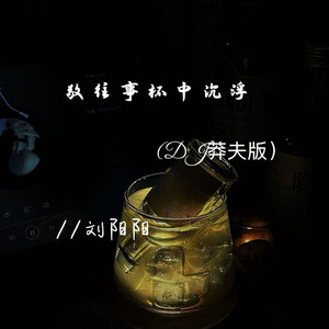 敬往事杯中沉浮 (DJ莽夫版)