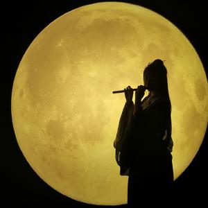 山丹丹花开红艳艳 (笛子纯音乐)