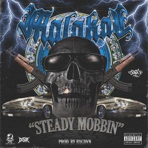 STEADY MOBBIN