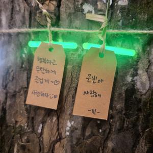 같이 걷자 (은부민노)