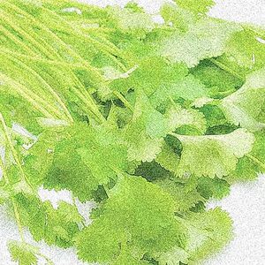 吃了一口煎饼果子结果吃到香菜了所以我emo了