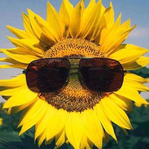 过山车demo（prod by jellyboy）