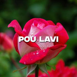 POU LAVI