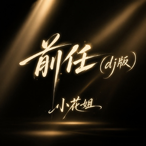 前任(dj版)