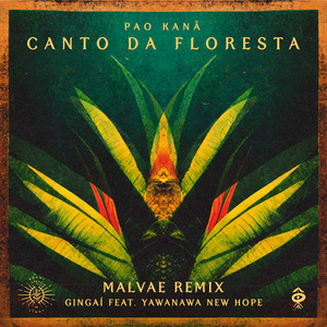 Pao Kanã - Canto da Floresta (Remix)