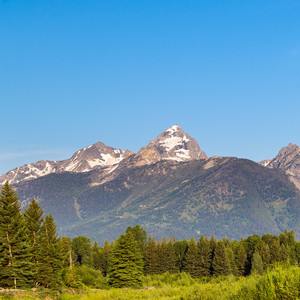 答非所问就是回答