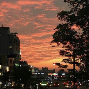 想见你想见你 -米卡