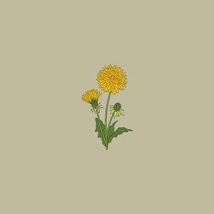 Dandelion (feat. Kendall Savage)