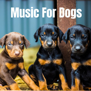 Music for Dogs Peace