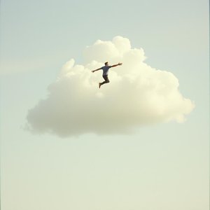 静かな夏のログ