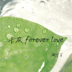 卡农 forever love