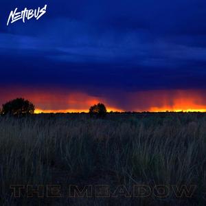 The Meadow