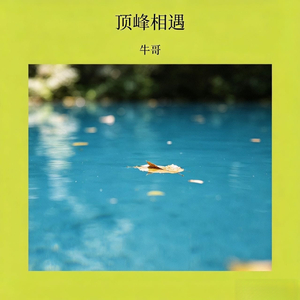 风与林的约定