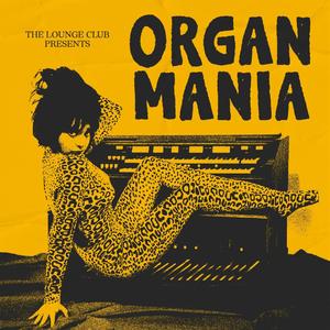 Midnight at the Embassy