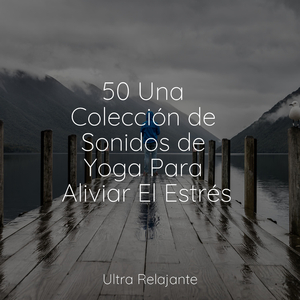Recuerdos Rosas