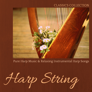 Ambient for Spa (Celtic Harp Spa Music)