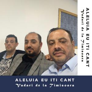 Aleluia eu îți cânt