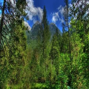 I Am Not Interested In