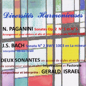 Sonate No. 5 in D Major, Op. 2: I. Andante Impostatamente, Arranged for Violin and Viola