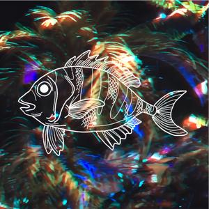 Understandably, For it is I, the Piraputanga Fish