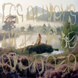 Organize (IANTBW version)