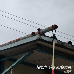 纯雨声（铁皮阳台十分钟循环版）