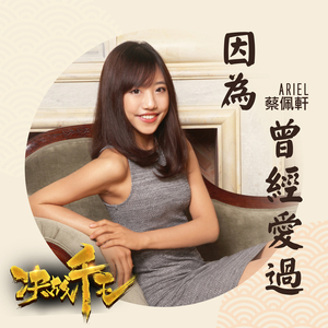 因为曾经爱过 (电影<决战千王>推广曲)