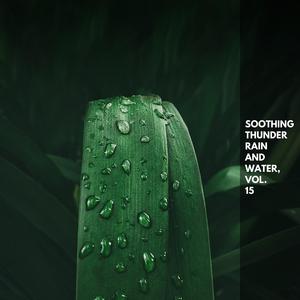 Amused Light Rain on Leaves