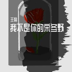 我不是你的宋冬野