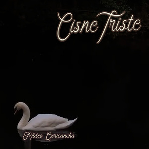 Cisne Triste