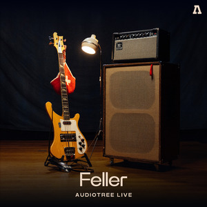 Icing (Audiotree Live Version)