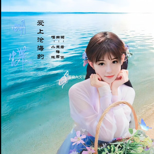 爱上沧海的蝴蝶-慢三步舞曲加长版 (慢三加长版)