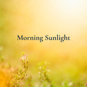 Morning Sunlight