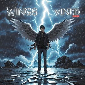 逆风中的翅膀_龙乘风