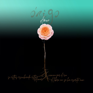 Amor (Acoustic Version)