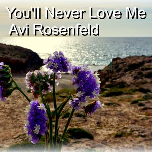 You'll Never Love Me