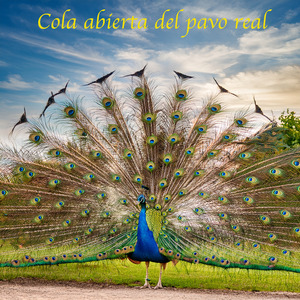 Crepúsculo en la Ola