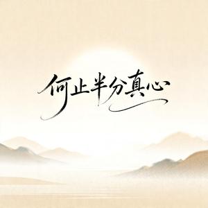 何止半分真心给过你