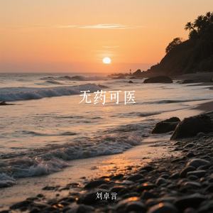 无药可医